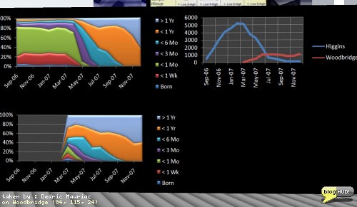 A better look between sims
